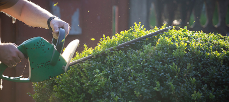 Hedge Trimmers